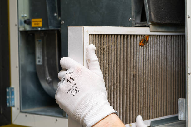 Best Air Duct Cleaning Near Me  in , FL