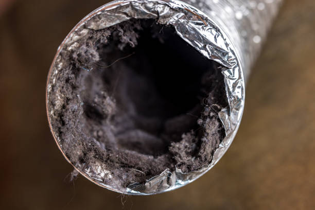 Best Air Duct Cleaning Near Me  in , FL