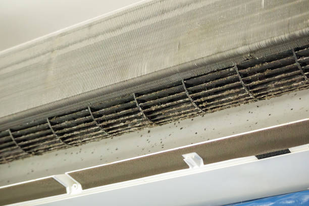 Best HVAC Duct Inspection Services  in , FL