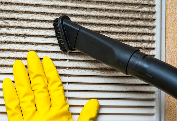 Best Air Duct Sanitizing Services  in , FL